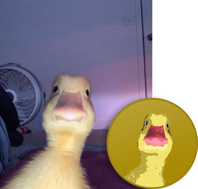 Ducker and the coin